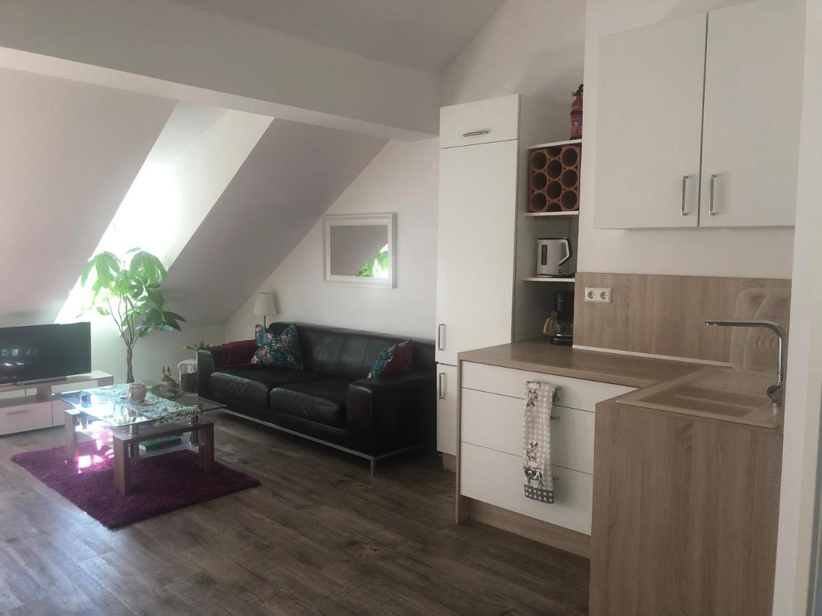 Old Bridge View Apartment Heidelberg Extérieur photo
