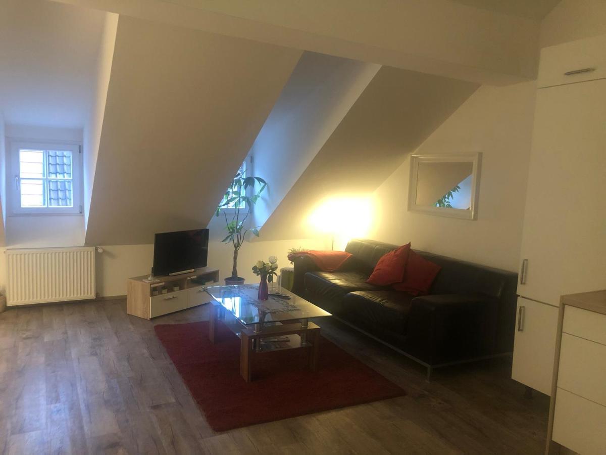 Old Bridge View Apartment Heidelberg Extérieur photo